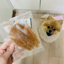 스낵몽 | 수유강아지수제간식 스낵몽 애견수제간식