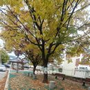 남산대림공인중개사사무소 이미지