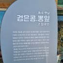 뽕이네 뽕잎 손칼국수 이미지