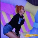 귤곰 이미지