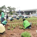 옐로우시티 이미지