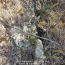 물만골역 이미지