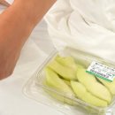 레츠고 뽑기방 | [ in Taipei D+1] 효도여행. 레츠고. (2)