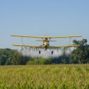 초월농장 이미지