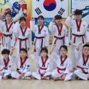 용인대 미르 태권도장 이미지