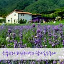 소똥령이야기 이미지