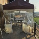 보령애견동반펜션 피노비스타 이미지