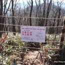 참새(황골공원) 네이버블로그