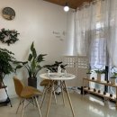 미장원(은화쌤)