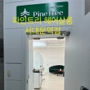 파인트리 | 서대문역미용실 파인트리 헤어살롱 아베다 전체염색 후기