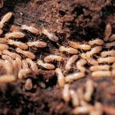 개미공인중개사사무소 이미지