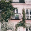 Pink House 이미지