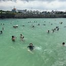 안녕판포 | 제주 판포포구 바다수영 추천 스노클링 명소 이용후기