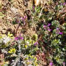 축산1리 마을회관 | 서해랑길 20코스(역방향, 용동마을회관~톱머리해수욕장~부용리정류장~청계면 복합센터)