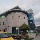 단양군청소년수련관 수영장 이미지