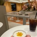 드도그카페 | 강남 반려견 실내 운동장 [드도그카페] N번째 또 간집