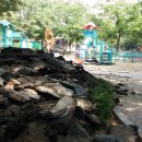 채송화어린이공원 이미지