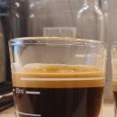 도그파파 이미지