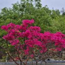 강나루 긴 언덕 이미지