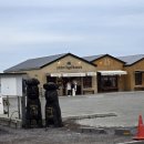 세화초등학교 | 겨울제주 동쪽 구좌 성산 서귀포 여행 1일차