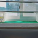 용인대 동아태권도장 이미지