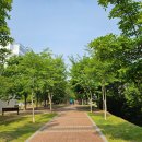 대구선반야월공원(괴전동) 이미지