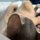 차이윈난 쌀국수 이미지