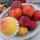 더원마트 이미지