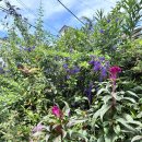 무궁화태영(아)경로당 | 2-2 개강 일기