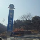 통영케이블카 광장 | 통영 케이블카 어드벤처타워 후기 짜릿한 통영 여행 코스 추천