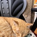 원천중학교 이미지