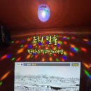 꽃노래연습장 이미지