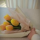 튜울립 꽃 주머니 만들기 이미지