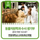 대전충남양돈농협 축산물종합유통센터 - 8698 | 동물자원학과 수시 생기부 어떤 식으로? 유망 대학 연암대학교 스마트축산계열
