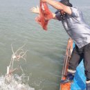 명성자원 이미지