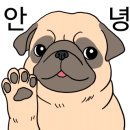 구일대패 - 서구 문정로170번길 191 | 구일대패
