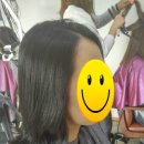 상남동242 이미지