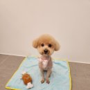 부천볼트 이미지