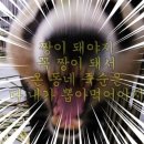 바오투어 이미지