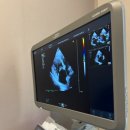 인천동물심장내과 이미지