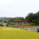 강화군 양도면 전원주택,펜션,제2종근생부지 592평 매:1억9천만원정 이미지