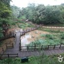 아차산공원 Daum카페
