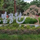 솔밭공원3 이미지