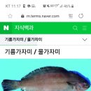 어사랑무침회 이미지