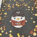 동네언니협동조합 | 11.25-12.1 요약 zip