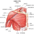 뮤필라테스 - 포항시 북구 새천년대로1123번길 12 | 뮤필라테스