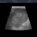 동물병원 누리에뜰 이미지