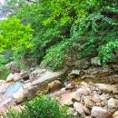 산울림 / 윤동주 이미지