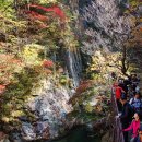 폭포가든 이미지