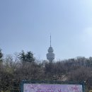 24.03.27 대구여행 이월드1 이미지